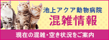 池上アクア動物病院の現在の混雑・空き状況をご案内