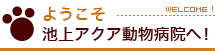 ようこそ池上アクア動物病院へ！ welcome!